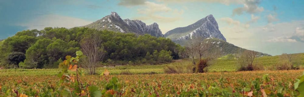 Cours d'oenologie Vins du Languedoc Roussillon Weeno Marseille